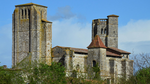 Toiletteur Saint-Pierre